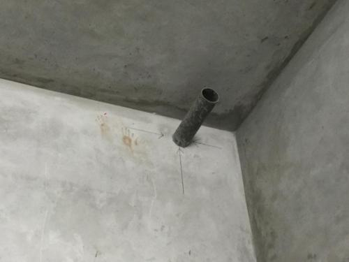 IMG 1648